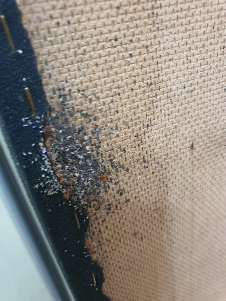 תצוגה מקרוב של פיסת בד עם שוליים שחורים, הכוללת מקבץ קטן של פסולת או לכלוך במרכז.