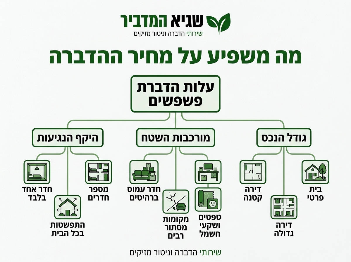 אינפוגרפיקה