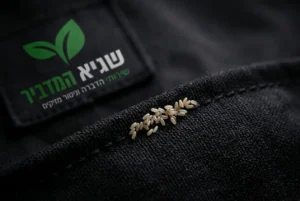 תמונת מאקרו דרמטית של צבר ביצי פשפשים זעירות דבוקות לתפר של בד כהה.